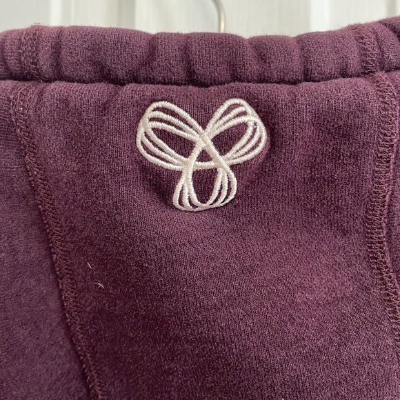 Aritzia Deep Purple Hoodie - Picture 7 of 11